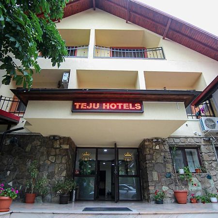 Teju Hotels Slănic Esterno foto